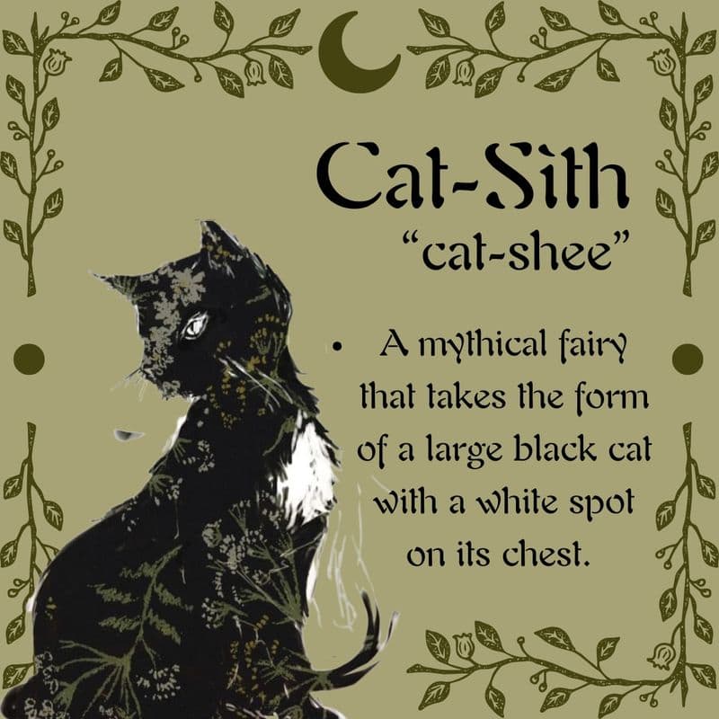Cat-sìth: The Fairy Feline