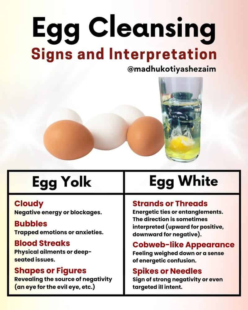 Interpret Your Eggy Results