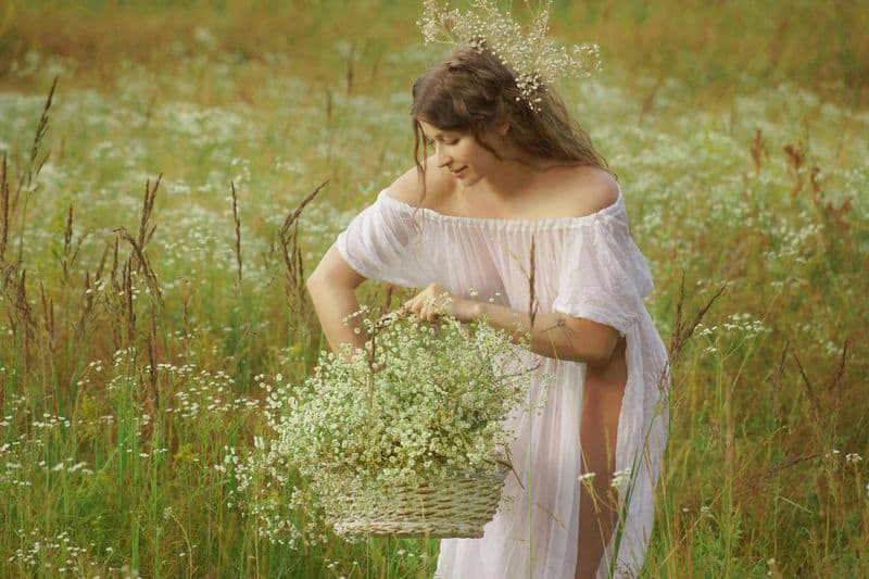 Become a Wildflower Wizard