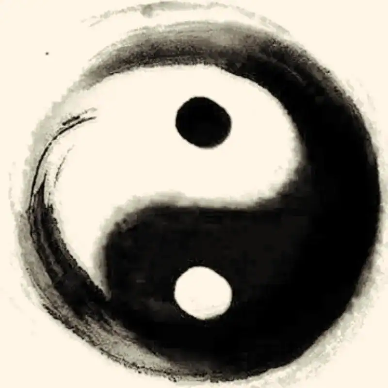 Yin and Yang (阴阳 – yīn yáng): Perfect Balance