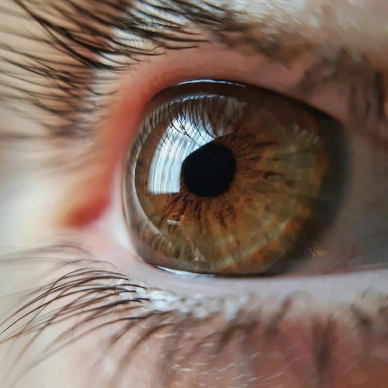 Identity Integration Makes Them Part of Your Story