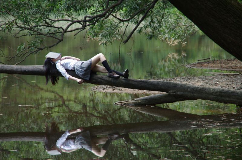 Freud's Favorite Dream Theory