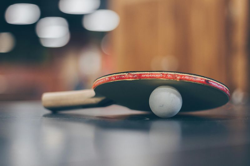 Gemini: Table Tennis Virtuosos