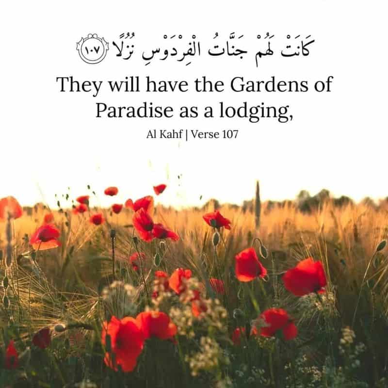 Paradise Gardens: The Islamic Afterlife Journey