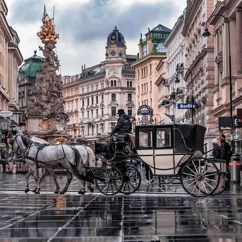 Virgo: Vienna's Meticulous Charm