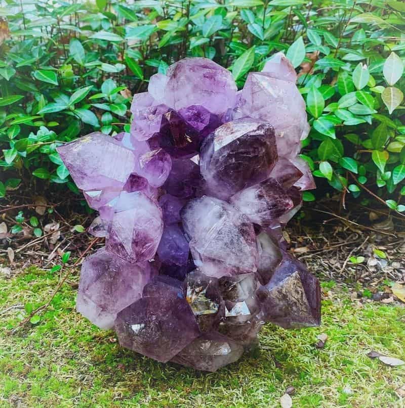 Chatty Amethyst for Gemini