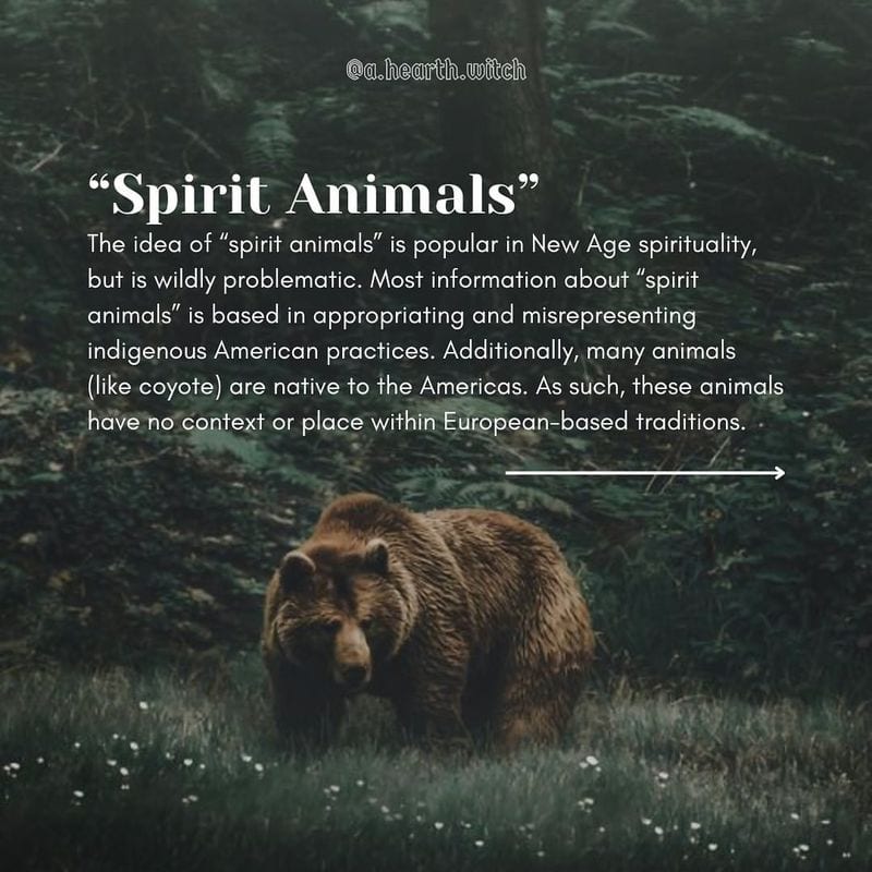 Spirit Animal Connections