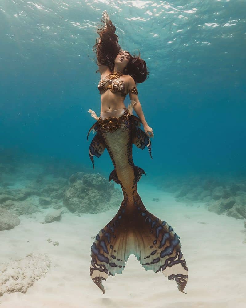 Mermaids: When Sailors Spotted Manatees