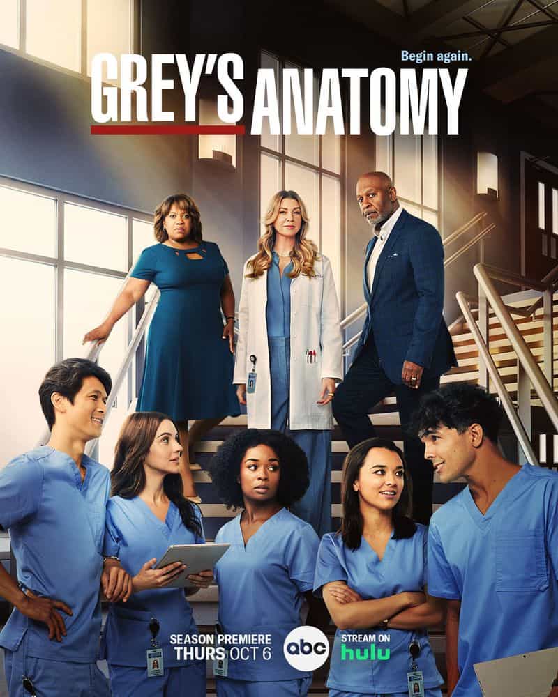 Capricorn (December 22 - January 19): Grey's Anatomy