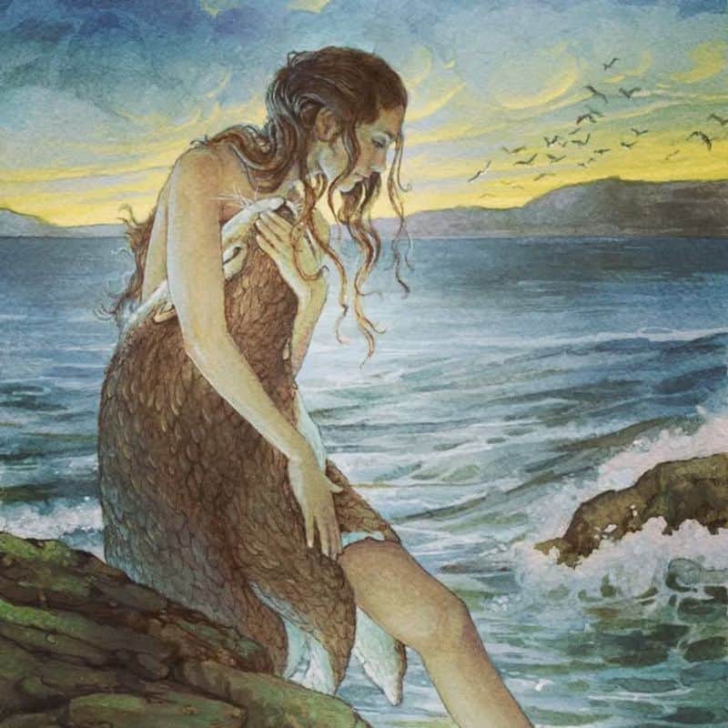 Selkie: Seal-Skin Shapeshifters