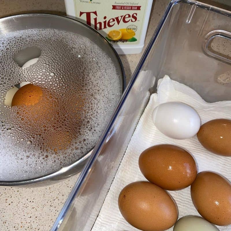 Prep Your Egg for Duty