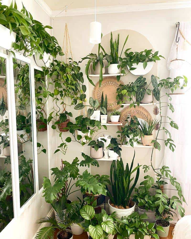 Plant Whispering Abilities