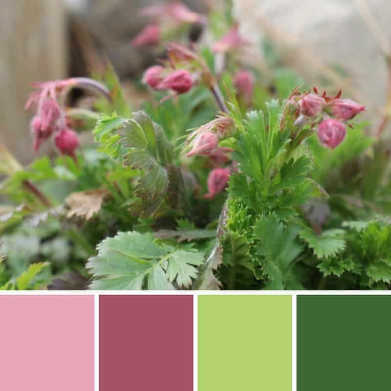 Taurus: Earthy Green and Romantic Pink