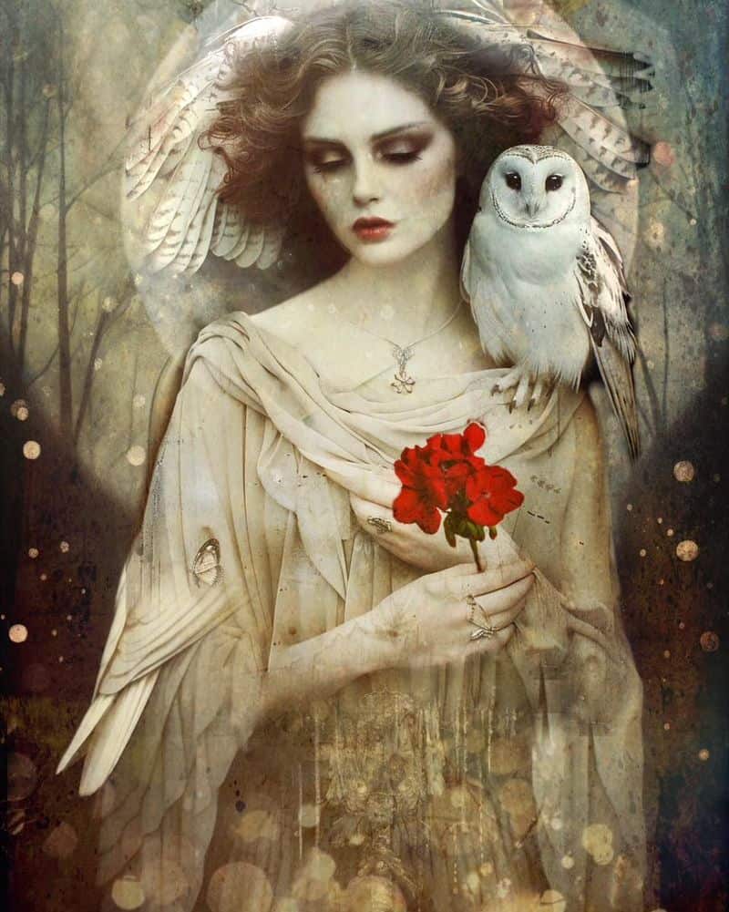 Gemini: Minerva, Brilliant Goddess of Wisdom