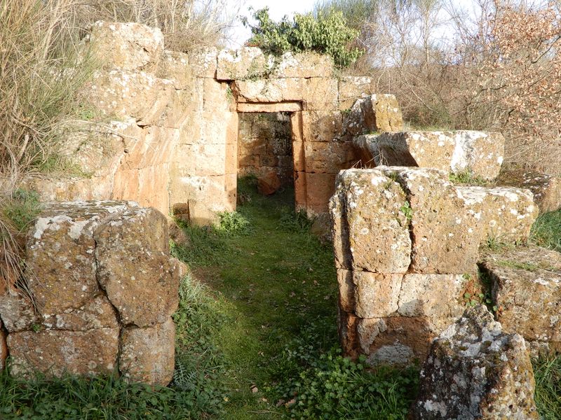 The Elusive Etruscans