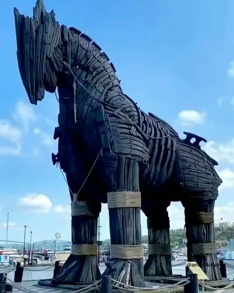 The Trojan Horse Strategy