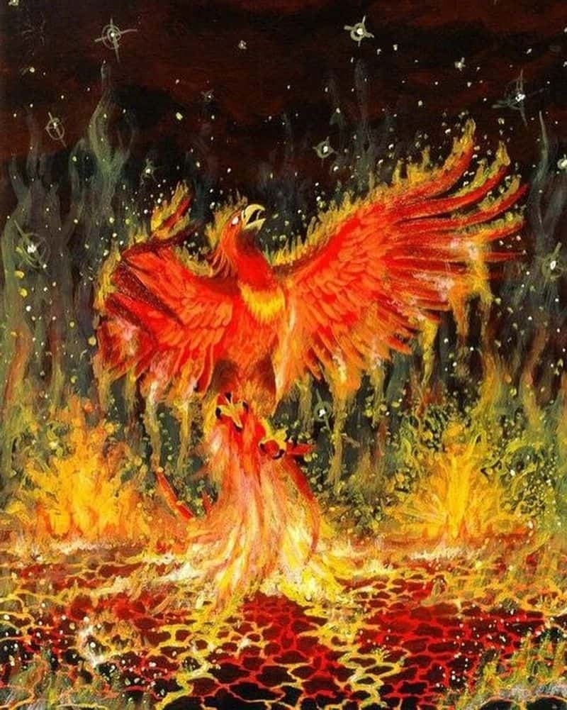 The Flaming Phoenix