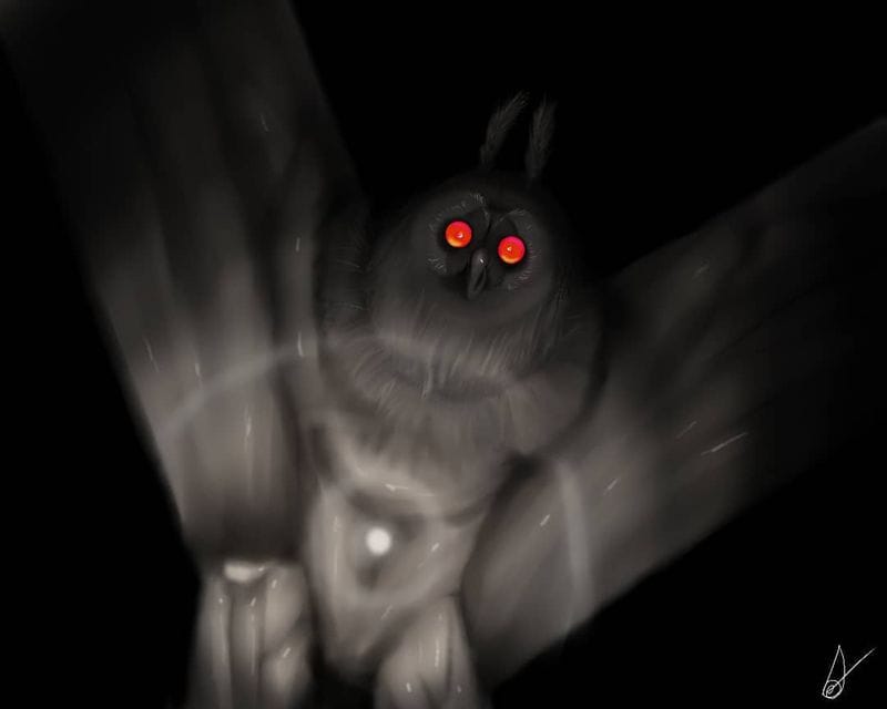 The Red-Eyed Mothman