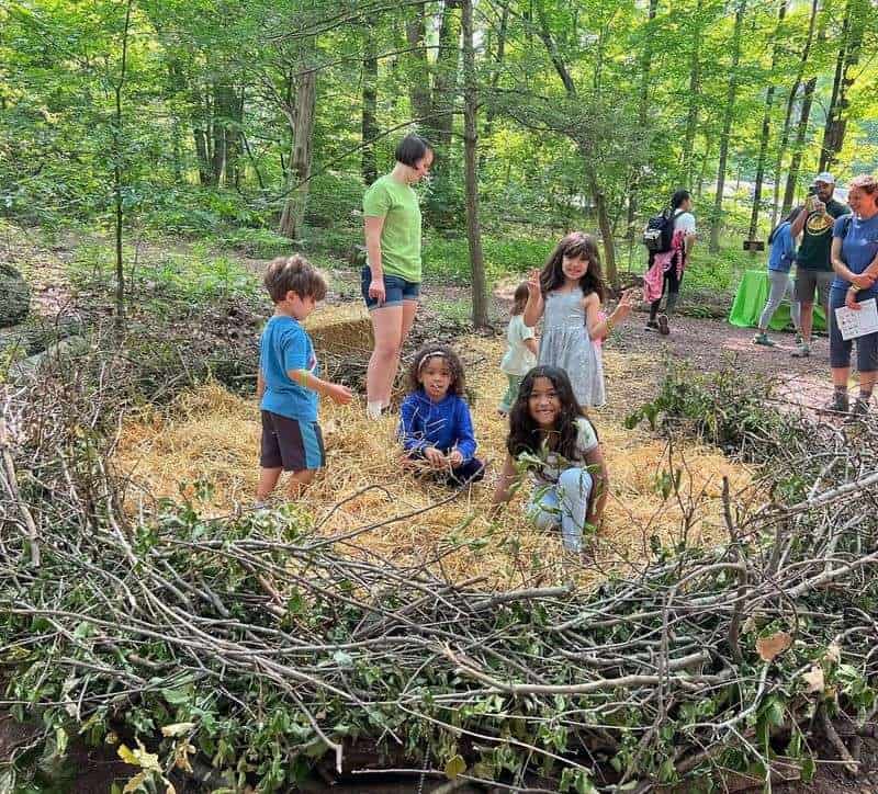 Curiosity as the Path to Knowledge