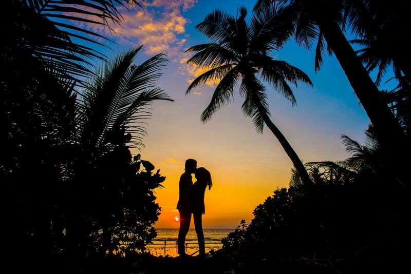The Honeymoon Phase: When Everything Smells Like Roses
