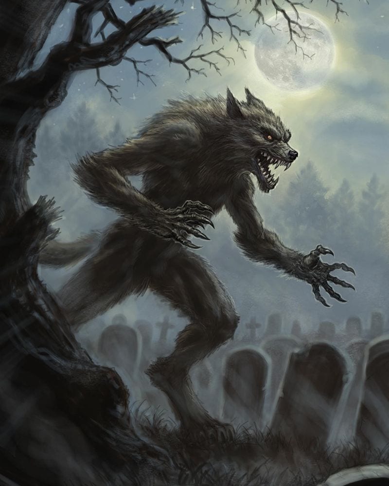 Werewolves: When Medical Conditions Met Murderers