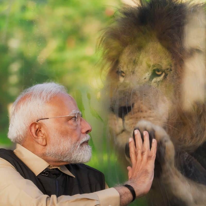 Narendra Modi's Virgo Precision