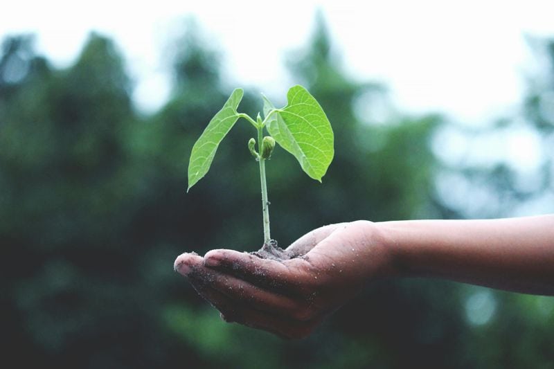 You Embrace Discomfort for Growth