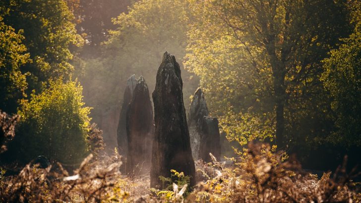 10 Captivating Creatures from Celtic Mythology