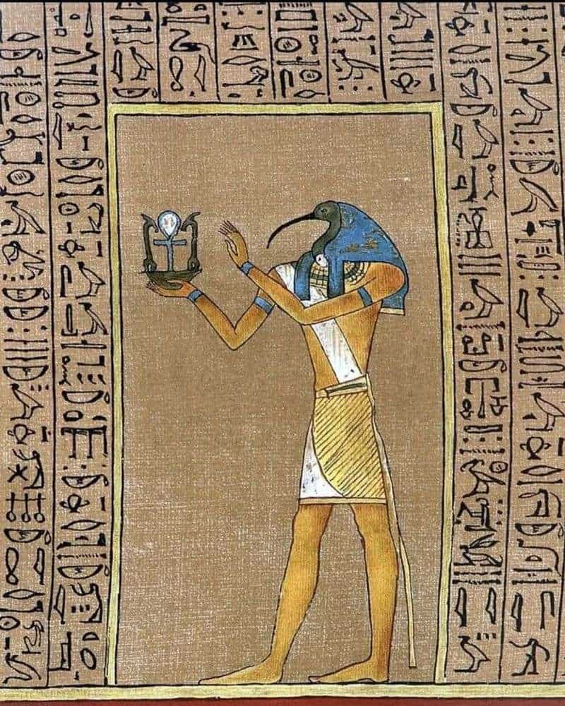 The Sacred Ibis: Thoth's Earthly Messenger