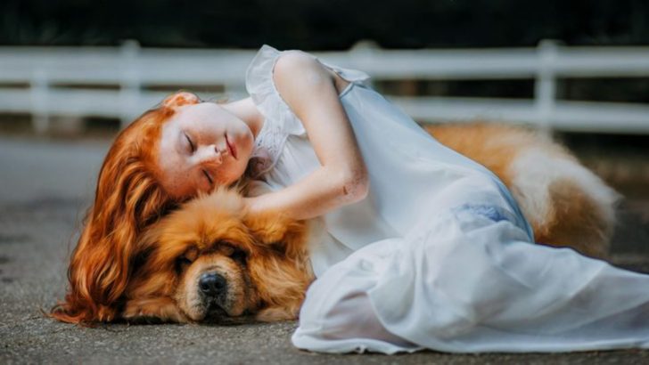 10 Comforting Beliefs About What Happens to Dogs After They Pass