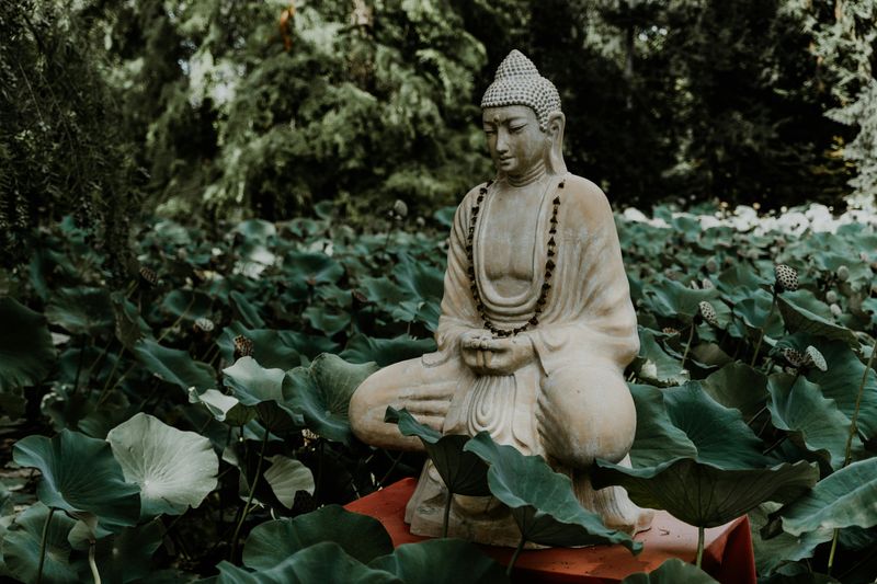 Practice Mindfulness Daily