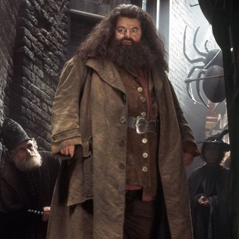 Taurus - Rubeus Hagrid