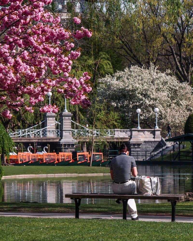 Taurus: Spring's Sensual Peak