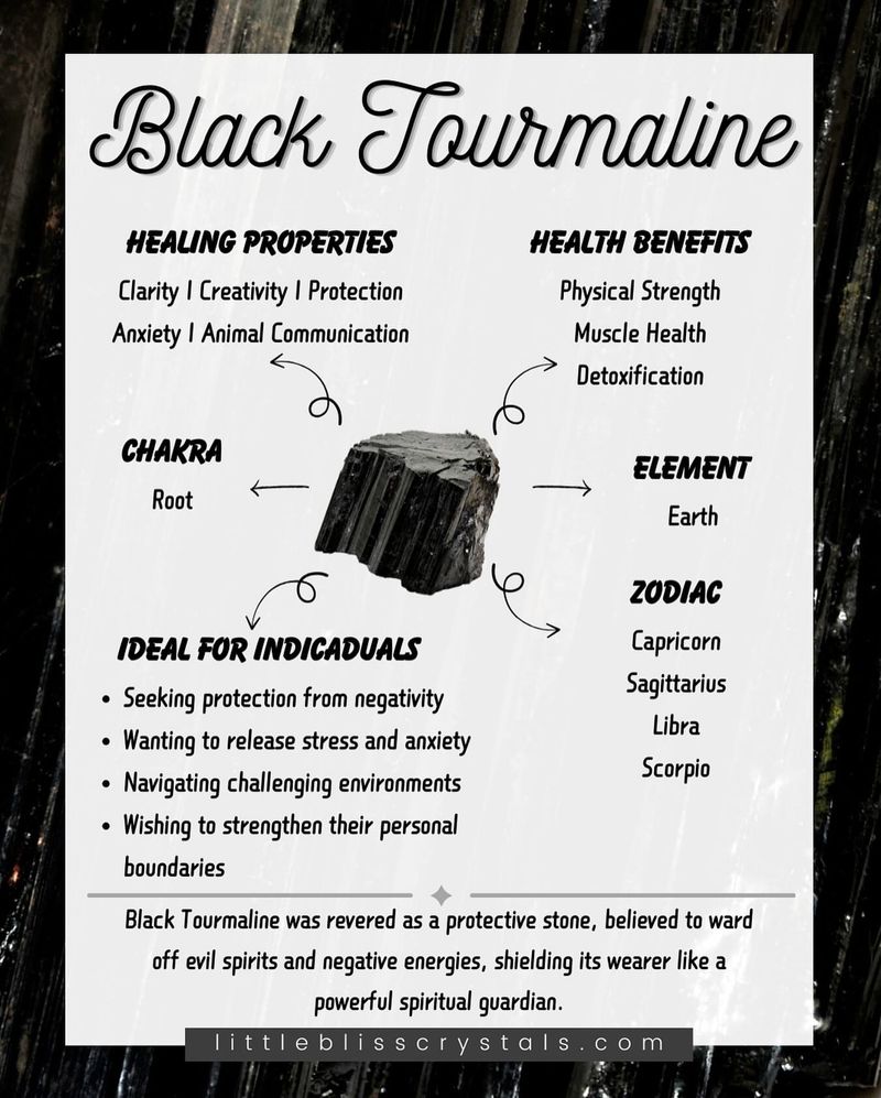 Black Tourmaline Shield Charm