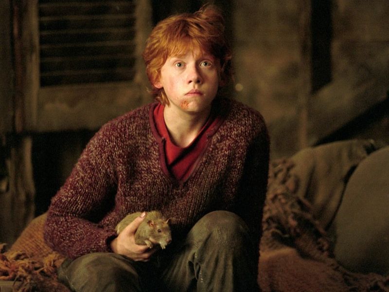 Aquarius - Ron Weasley