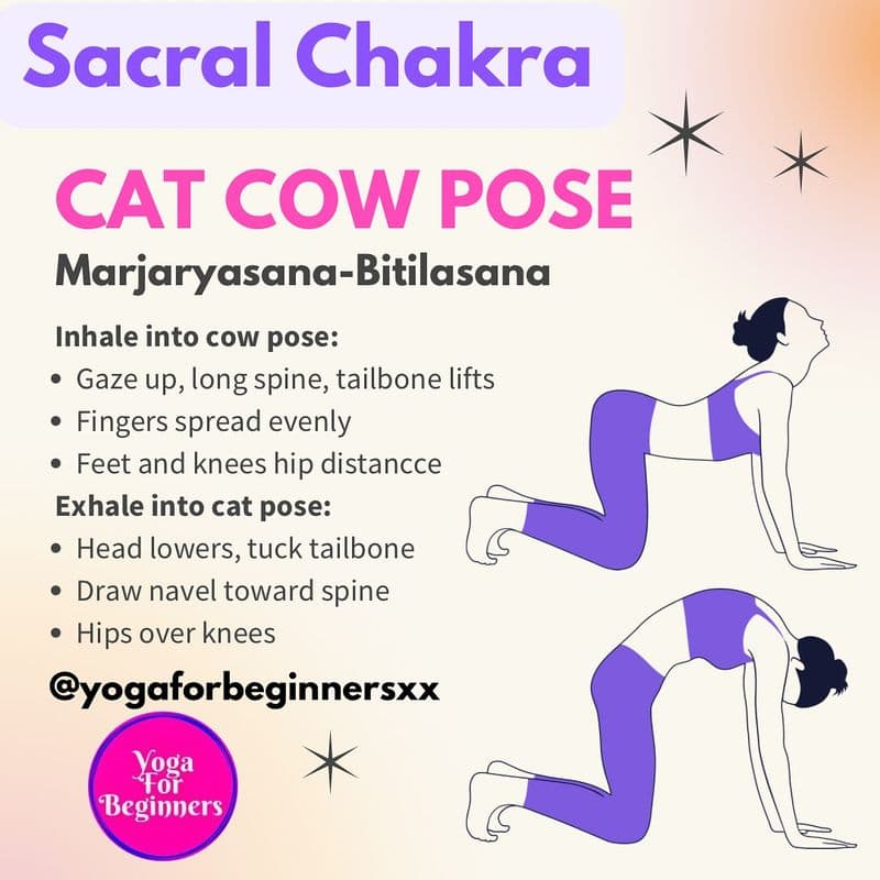 Cat-Cow Stretch (Marjaryasana-Bitilasana)