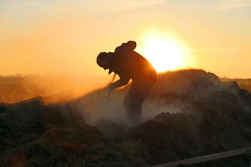 Early to Bed and Early to Rise Makes You Healthy, Wealthy, and Wise