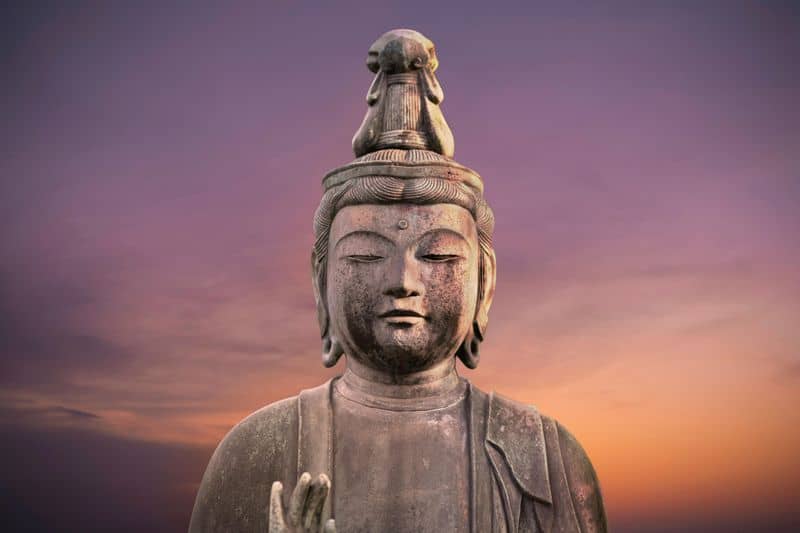 Show Compassion to All Beings