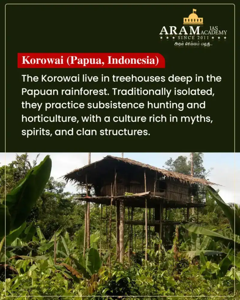 Treetop Society of Papua