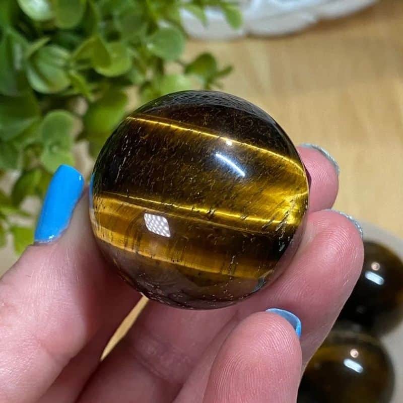 Tiger's Eye: Courage Shield
