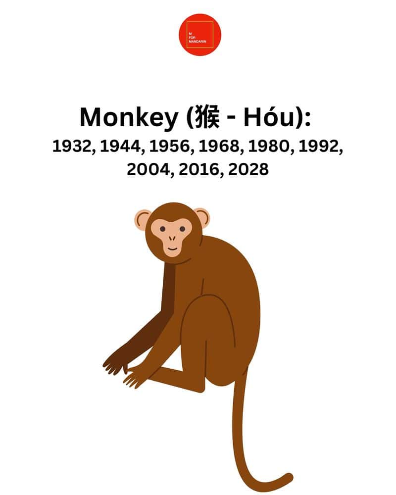 Monkey: The Clever Strategist