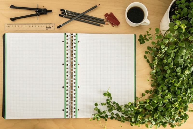 Perfectionism as a Shield