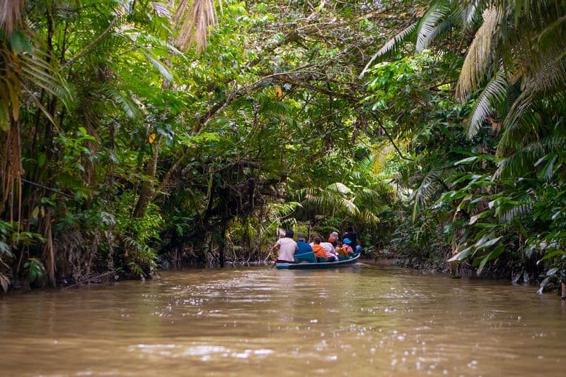 Voluntary Isolationists of Ecuador's Amazon