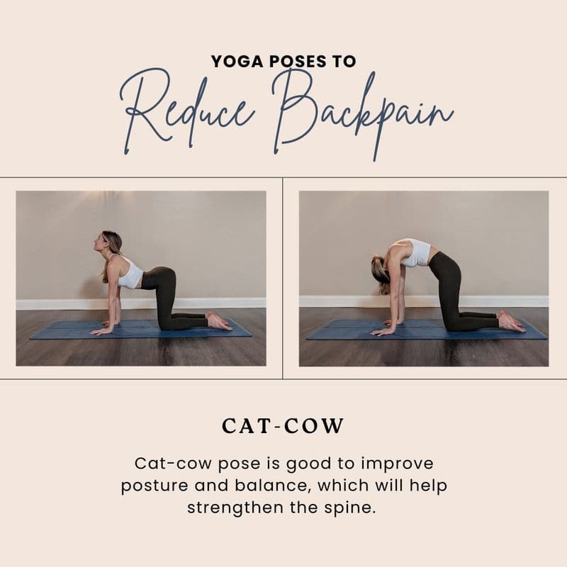 Cat-Cow Stretch (Marjaryasana-Bitilasana)