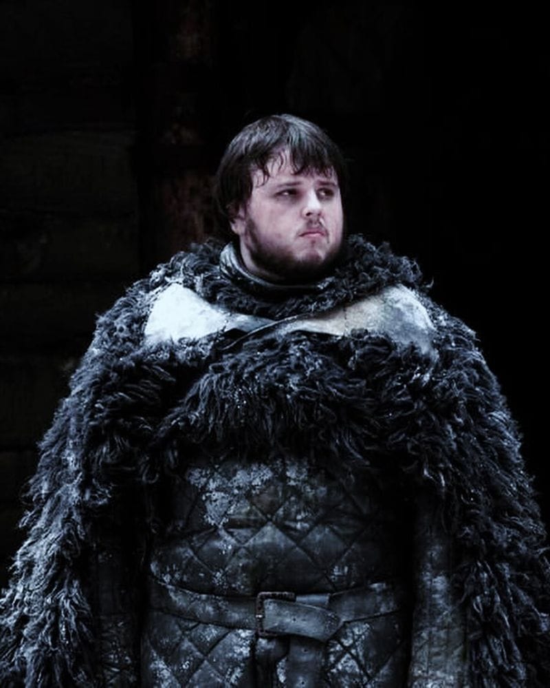 Virgo (August 23 - September 22): Samwell Tarly