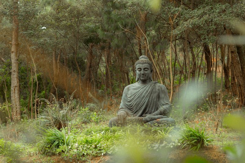 Cultivate Inner Peace Through Meditation