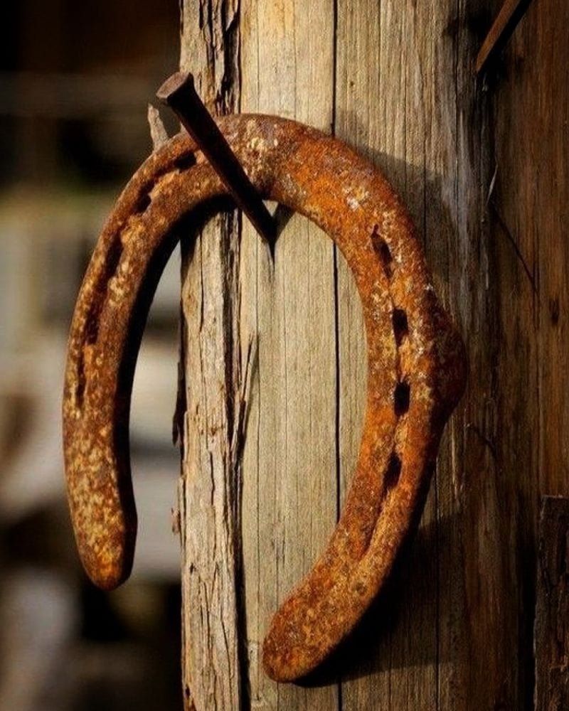Lucky Horseshoes