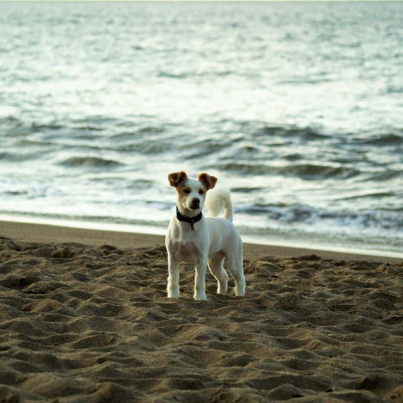 Love's Permanent Imprint