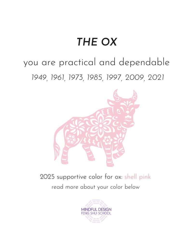 Ox: The Unstoppable Force