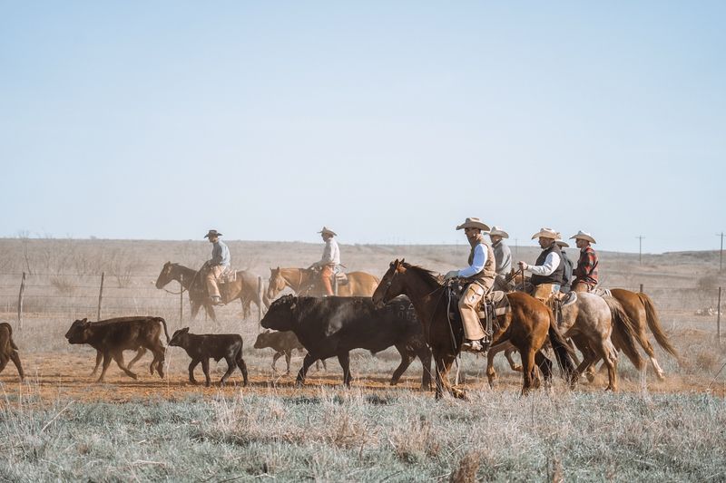 Never Count The Herd